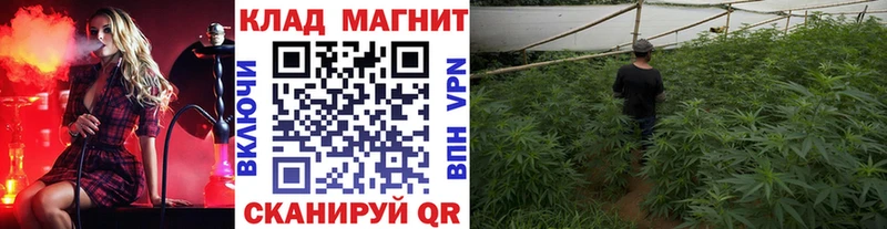 Наркота Хвалынск Кокаин  СОЛЬ  Гашиш  Псилоцибиновые грибы  МЕФ 