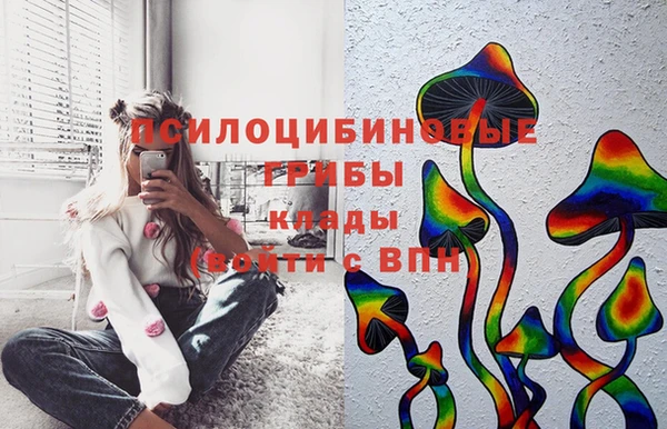 МДМА Бородино
