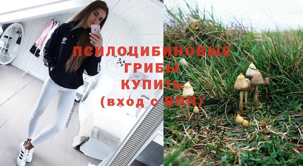 МДМА Бородино
